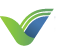 Veritas Healthcare